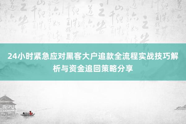 24小时紧急应对黑客大户追款全流程实战技巧解析与资金追回策略分享