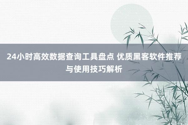 24小时高效数据查询工具盘点 优质黑客软件推荐与使用技巧解析